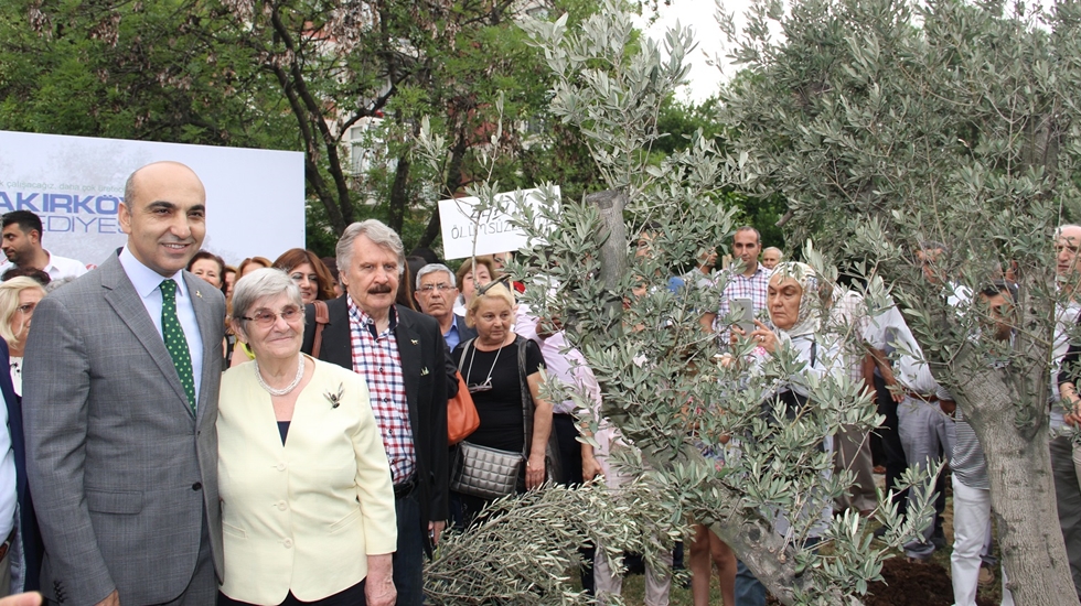 Bakırköylüler Zeytinlik mahallesine zeytin ağacı diktiler