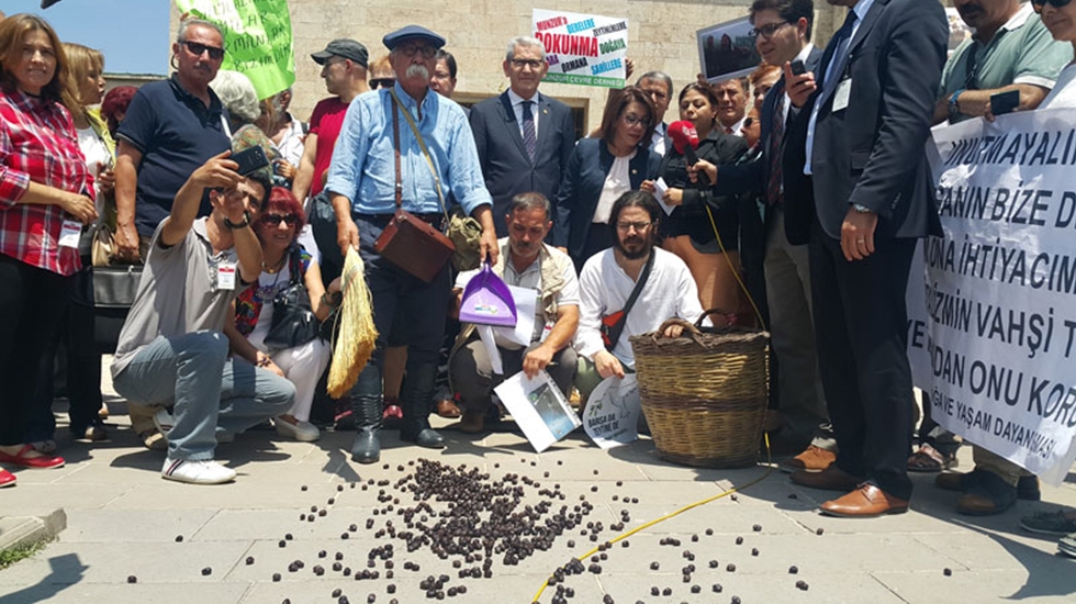 TBMM’de zeytinli protesto