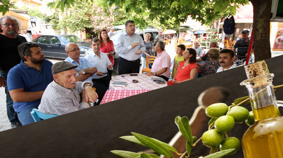 Sındır: “Zeytin üreticileri tek yürek olmalı, bu tasarının arkasında madenci lobisi var”