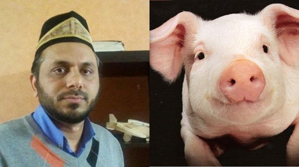 İsveç’te bir imam; Domuzlar eşcinsel, yiyenler eşcinsel olabilir