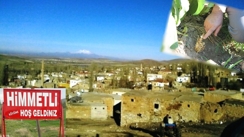 Canavar otunun sardığı köy 700 handen 150 haneye düştü