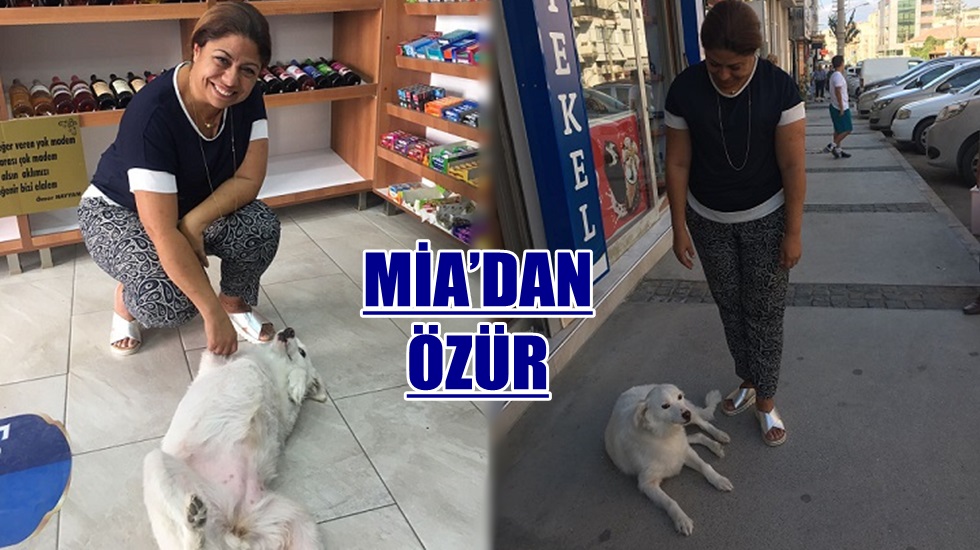 Zeynep Altıok, Mia’dan özür diledi