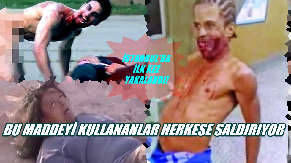 Bonzai bile bunun yanında hiç kalıyor!