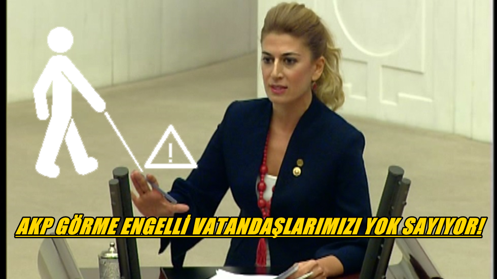 1 milyonu aşkın görme engelli vatandaşımızın sorunlarını gören, duyan, bilen yok!