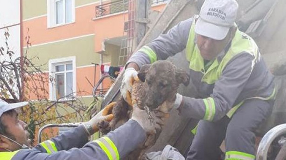 Ağzı bağlı çuval içinde çöpe atılan köpeği temizlik işçileri kurtardı