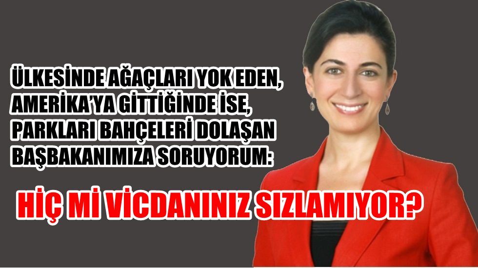Didem Engin Yassıada ve Uzungöl’deki talanı Meclis’e taşıdı