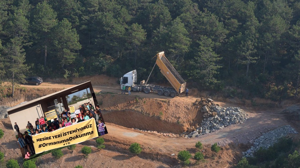Yarkadaş: Ormanı yandaşa peşkeş çekiyorlar