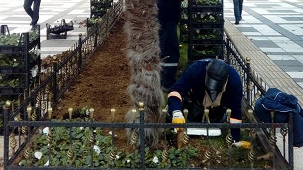 Kışın Çiçek Açacak!