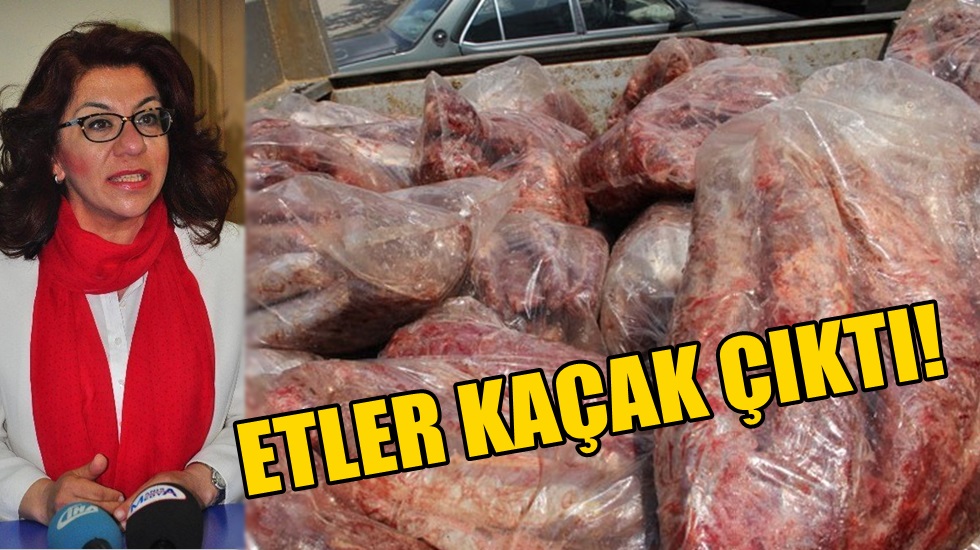 CHP’li Biçer: “AKP’liler tarafından bu şirket korunuyor”