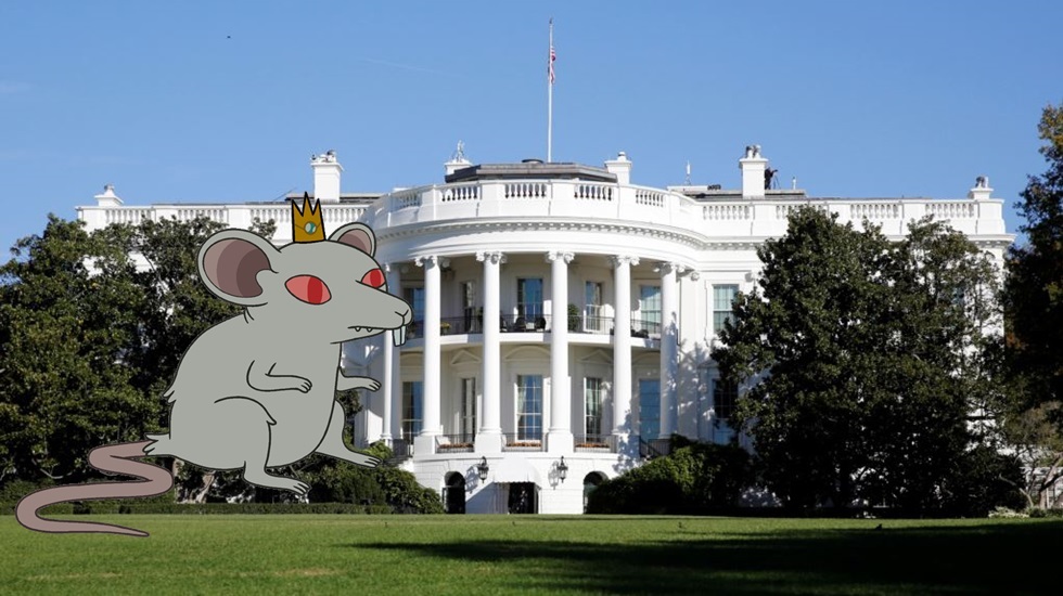 Trump, bilgi sızdıran o ismi Beyaz Saray'dan kovdu!