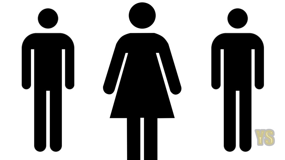 İş dünyasındaki önyargı kadınları engelliyor