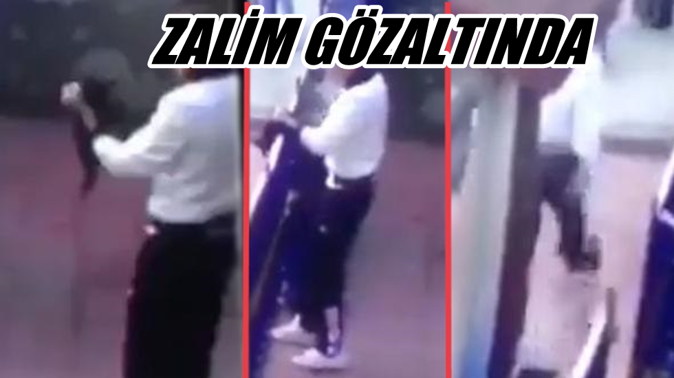 Orduevinde yavru kediye işkence yapan bir asker gözaltına alındı