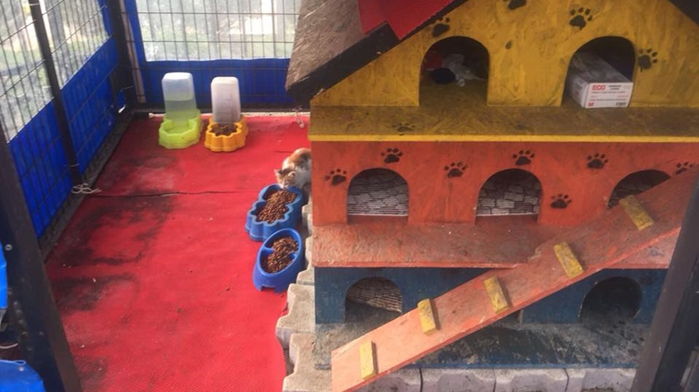 Kış şartlarında sevimli dostlar unutulmadı