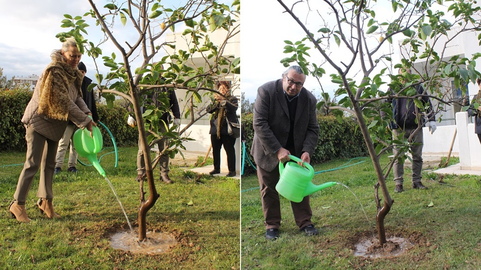 Girit özlemini limon ağacı ile giderilerdi