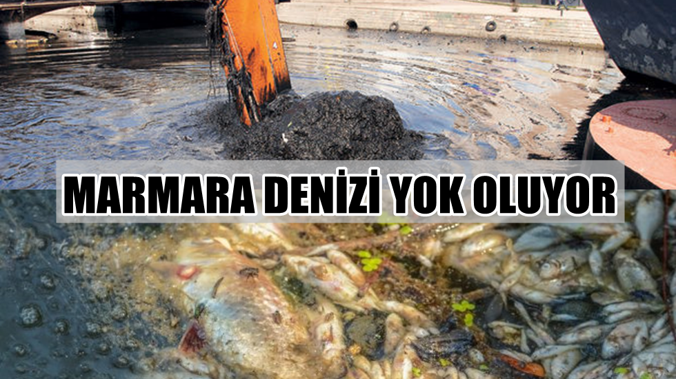 Kanalizasyon ve kimyasal atıkların döküldüğü Marmara Denizi yok oluyor