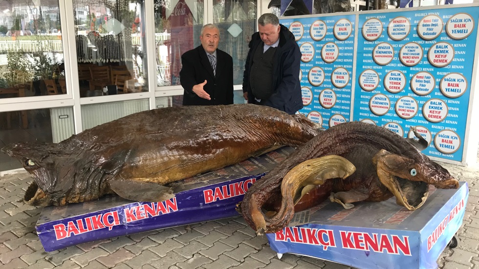 Dr. Özkuş: ‘Kimsenin göremeyeceği balıklar bu müzede var’
