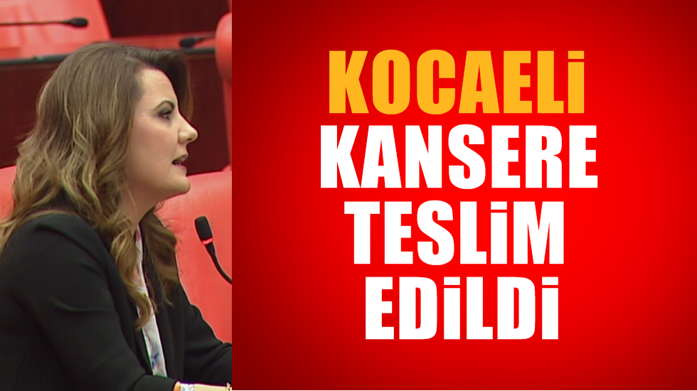 Hürriyet: Kocaeli’nde kanser riski 7 kat fazla!