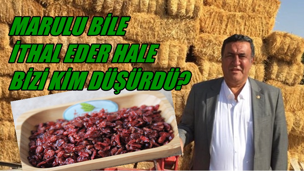 İnanılır gibi değil; İran’dan Nevşehir’e kuru üzüm geliyor