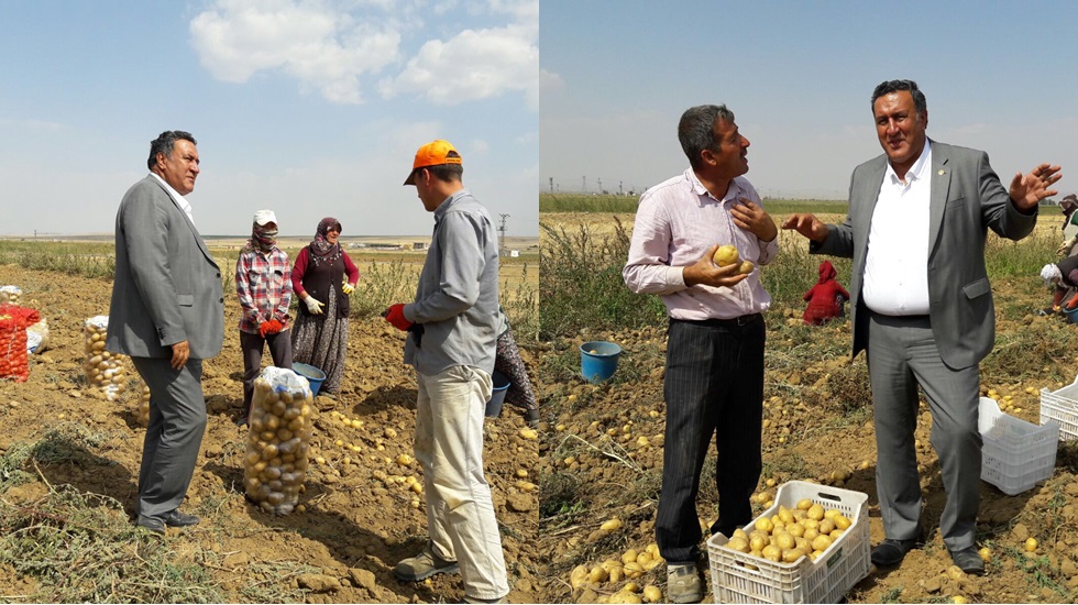 Gürer, “Patates depoda çürümek üzere, teşvik ne zaman?”