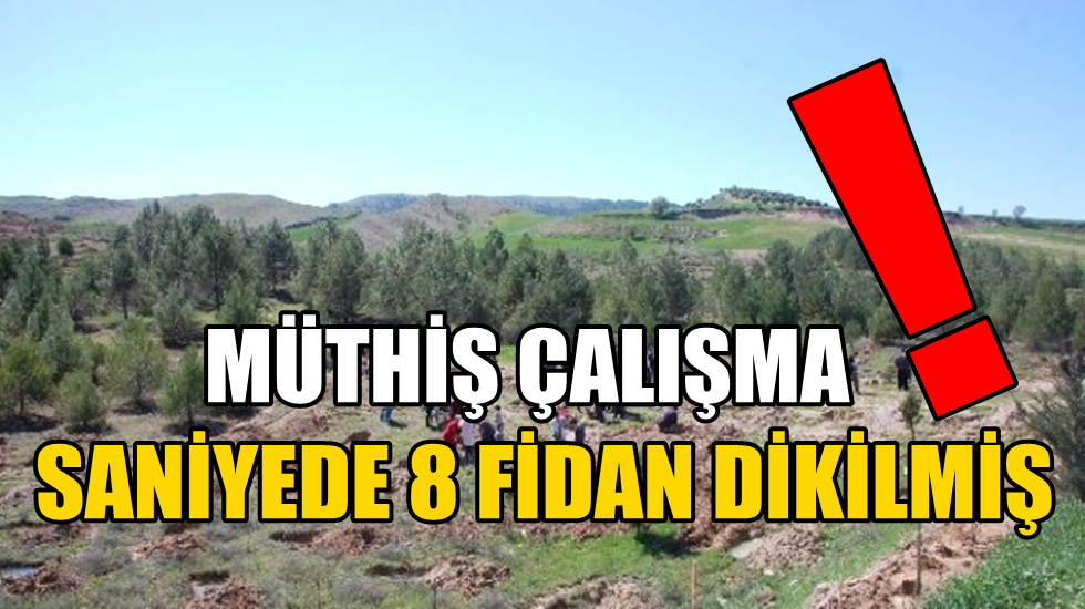 CHP’li Bozkurt’tan Başbakan’a: Ülkemiz Amazon Ormanları mı?