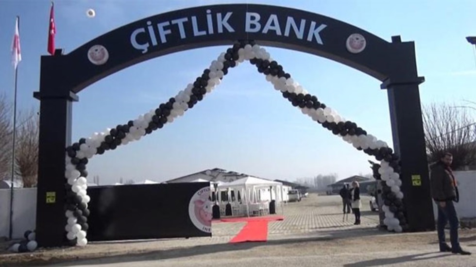Adalet Bakanı açıkladı… Çiftlik Bank mağdurlarına paraları ödenecek mi?