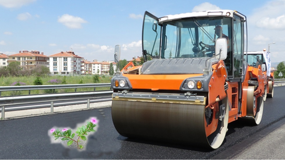 Kaş Otoyol Projesinde Likya Orkidesi Kazandı!