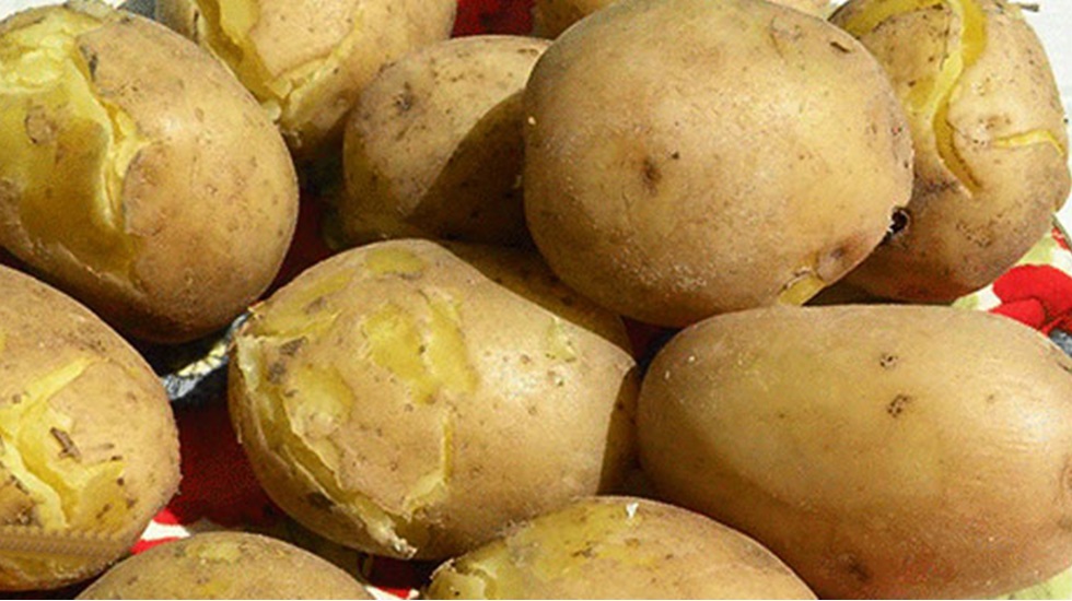 Patates yoğurt diyeti ile 3 günde 4 kilo verin