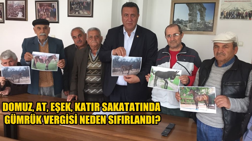Gürer: Bu işin altında bir bit yeniği var