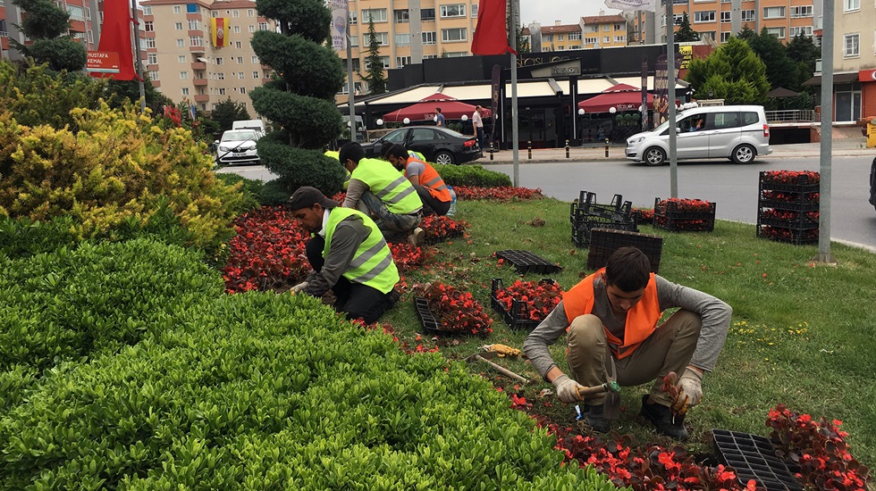 Selde zarar gören çiçeklerin yerine yenisi ekildi