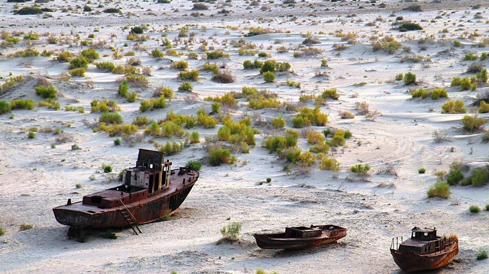 Göl bitti, orman başladı