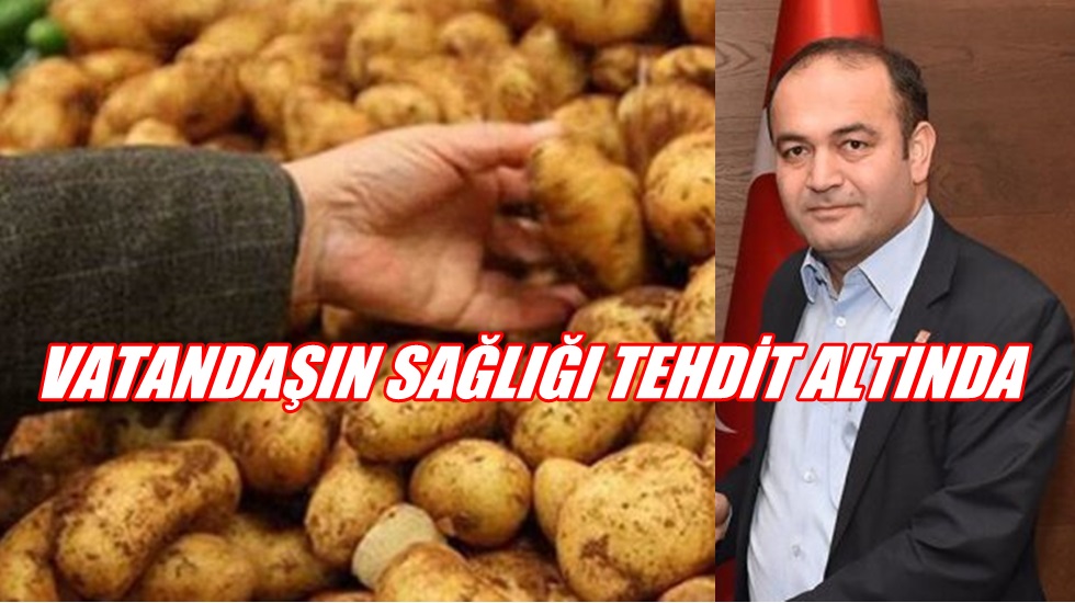 Yeni vekil yılların bakanına yol gösterdi!