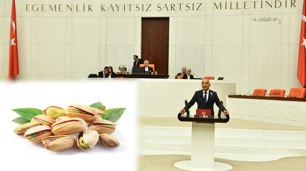 CHP’li Polat Çam fıstığı üreticilerinin sorunlarını Meclis’e taşıdı