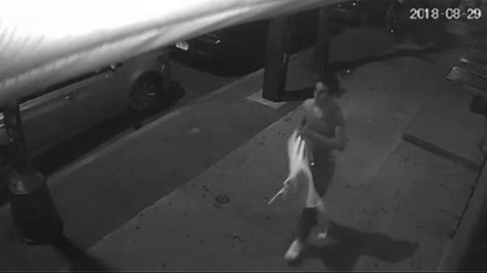 Camdan girerek 11 yaşındaki kıza tecavüz etti!