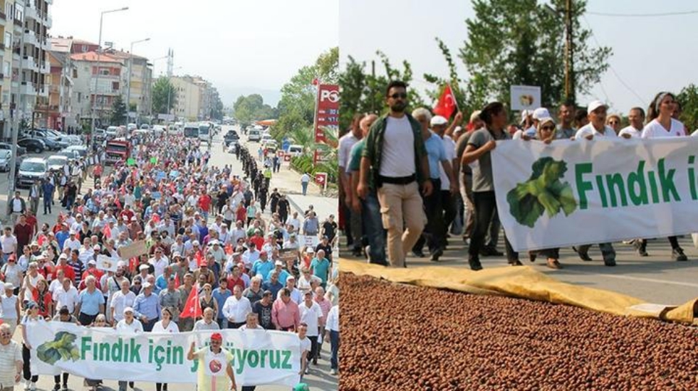AKP’li vekilden itiraf gibi sözler: Muhalefetin önergelerinin içeriğine katılsak da reddediyoruz
