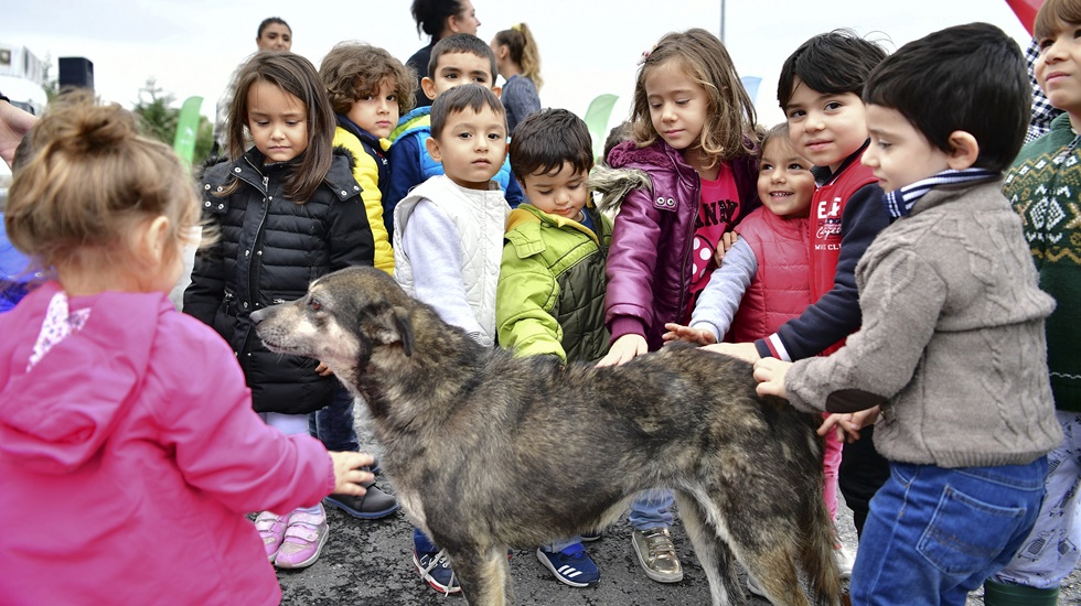 Çocuklar can dostlarıyla bir araya geldi
