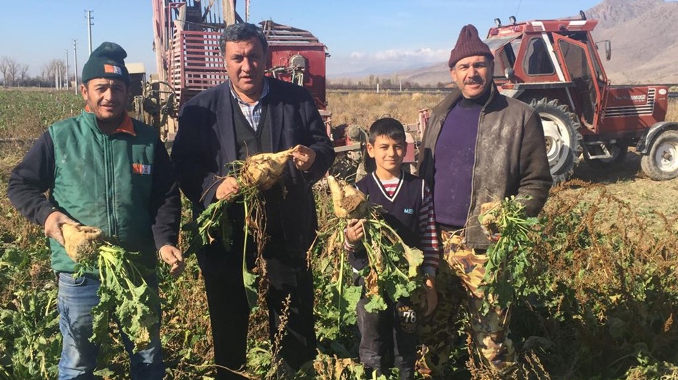 Binlerce ton şeker pancarı tarlada çürümeyi bekliyor…