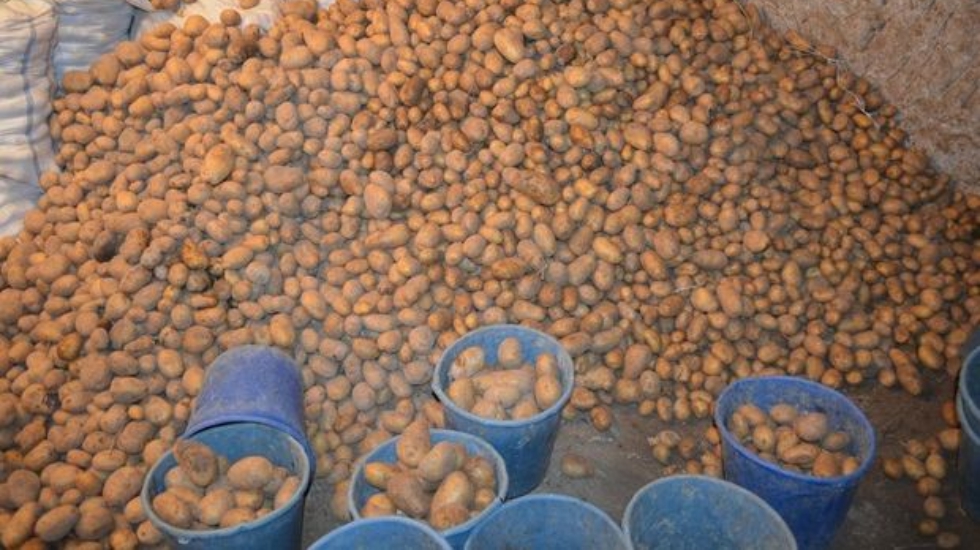 Patates ithalatında 20 Nisan’a kadar gümrük vergisi sıfırlandı