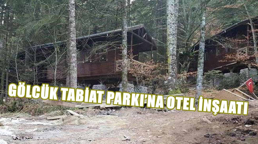 Hani tek bir ağaç bile kesilmeyecekti?