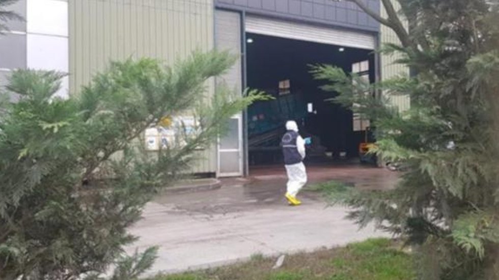 Ordu'da çöpten ceset parçaları topladılar!