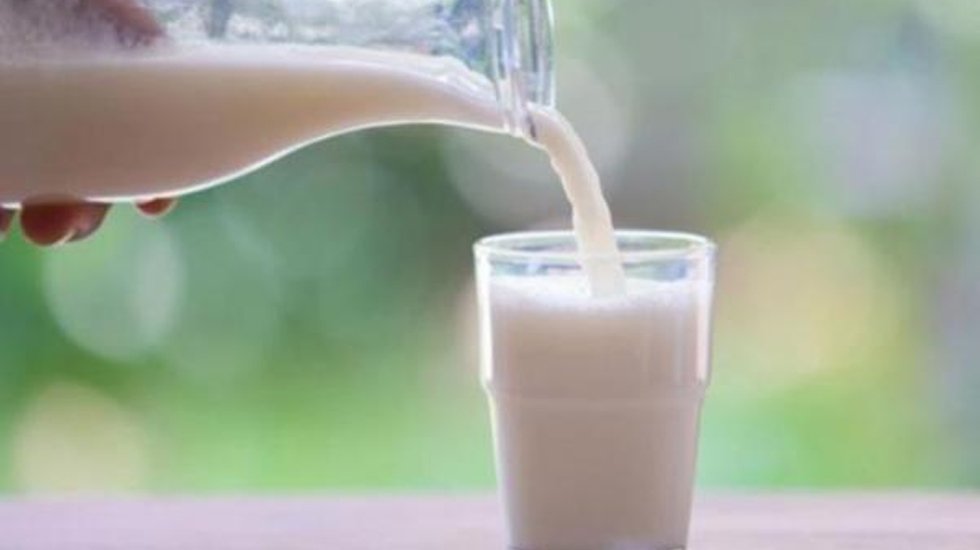 Süt primin destek artırıldı