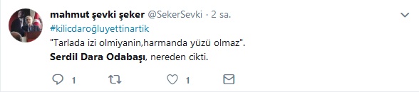 https://yenisoluk.com/uploads/2019/01/serdil-dara (2)