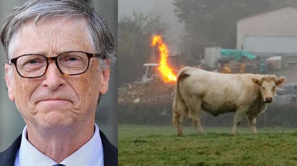 Bill Gates: İneklerin çıkardığı gazlar dünya için büyük tehdit
