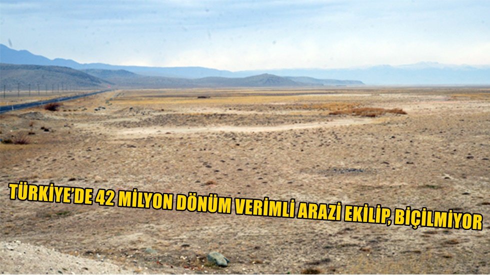 42 milyon dönüm verimli arazi ekilip, biçilmiyor