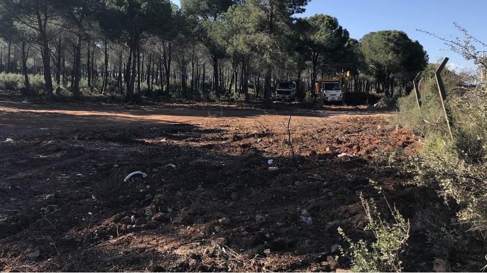Belediyenin metresini yıllık 1 TL’den 25 yıllığına ihale ettiği ormanlık alanda ağaç katliamı
