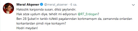 https://yenisoluk.com/uploads/2019/03/meral-aksener