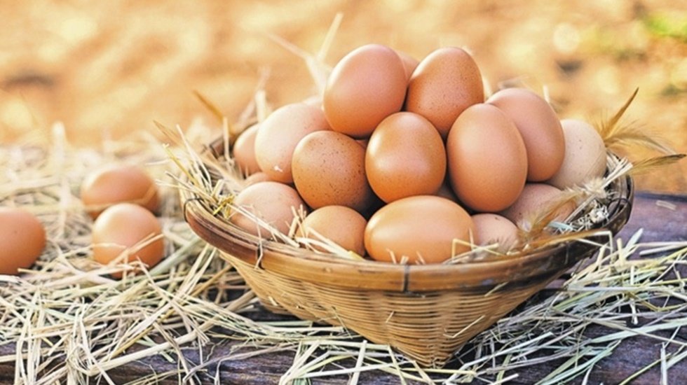 İngiltere'de bu haftadan itibaren gezen tavuk yumurtası satılmayacak