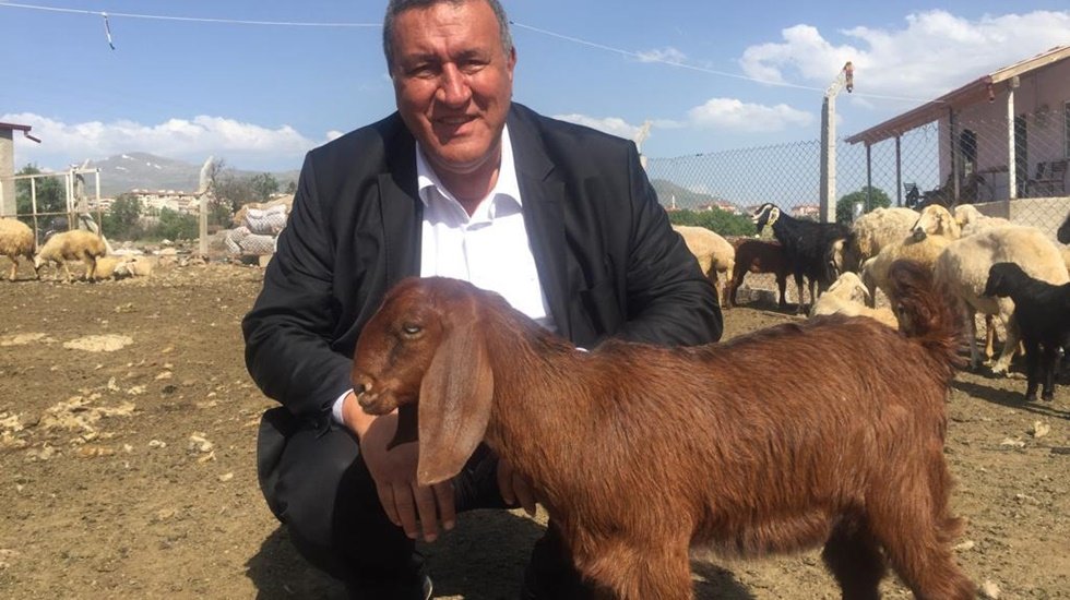 Ahırlar boş, yem üretilmezse hayvancılık sürdürülemez