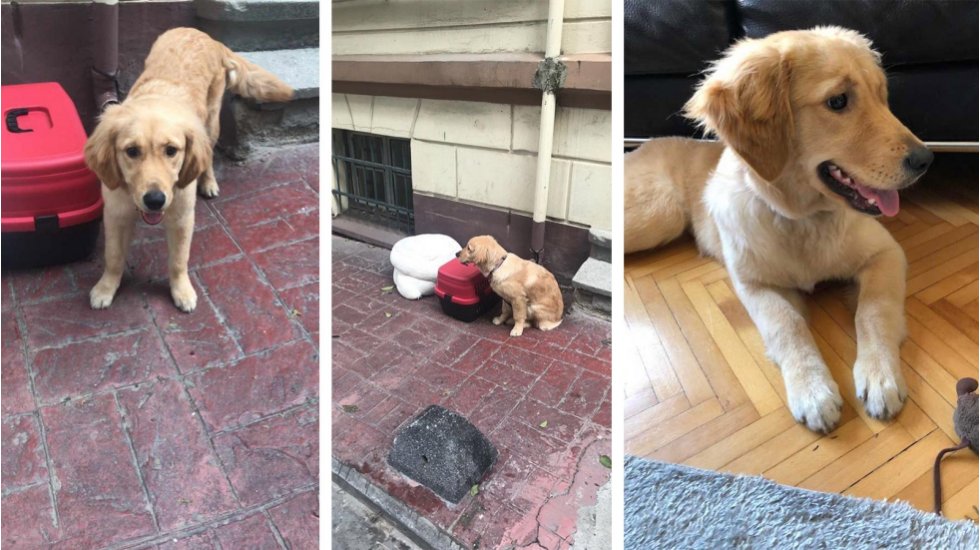Cihangir'de terk edilmiş olarak bulunan Lucy&rsquo;nin hik&acirc;yesi...