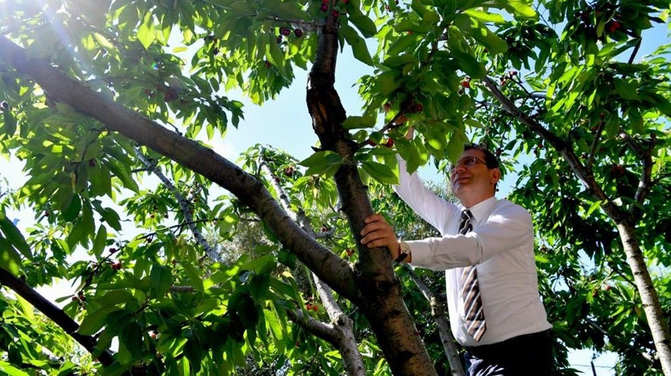 Ekrem İmamoğlu'ndan kirazlı paylaşım
