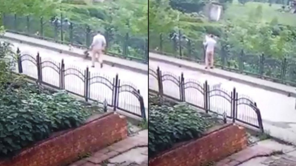 Yavru k&ouml;peği dereye atan iş&ccedil;iye s&ouml;zde ceza